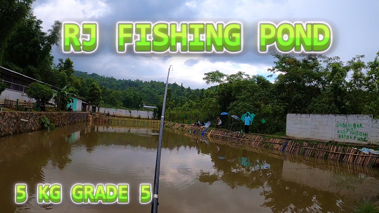 5 KG GRADE 5  PUNG BAH RICKY -SHNONG RILONG: PH NO 87949-68220