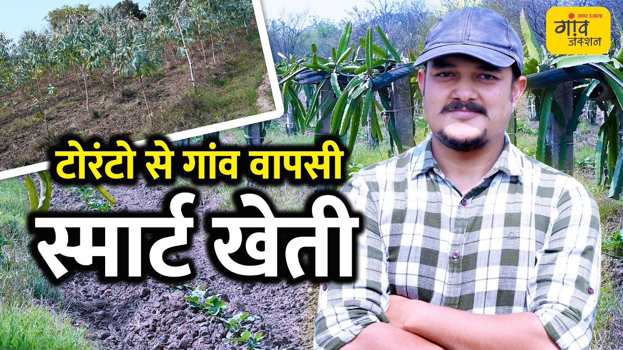 हाईटेक किसान: 5 एकड़ नेटहाउस से ₹45 लाख मुनाफा, ड्रैगन फ्रूट और यूकेलिप्टस से ₹1 करोड़ का लक्ष्य