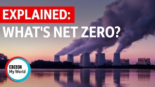 Net Zero: What is it and can we reach it? - BBC My World #shorts