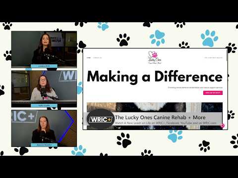 A New Leash on Life: How nonprofit The Lucky Ones Canine Rehab + More helps dogs live better lives