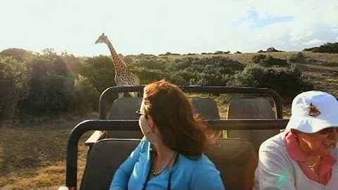 Caught on Tape: Frightening Footage of Giraffe Attack