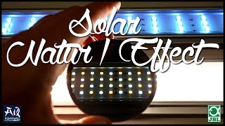 Die neuen JBL LEDs im Test | AquaOwner screenshot 5