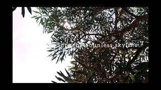 fallen kingdom #cinematic #shorts #storywa