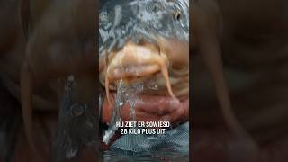 Download Lagu Wie wint de Betaalwater Challenge van 2025?!🏆 #btwchallenge #kwo MP3