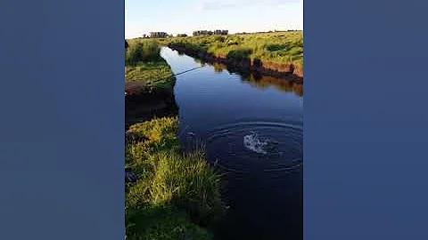 Lorena Parga seueliando