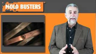 How to Handle Attic Mold Problems