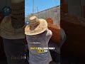 How This Roof Stands With No Pillars! The Secret Catalan Vault Technique #science #shorts #shortfeed