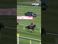 Expensive buy Confucius wins at Naas 👀