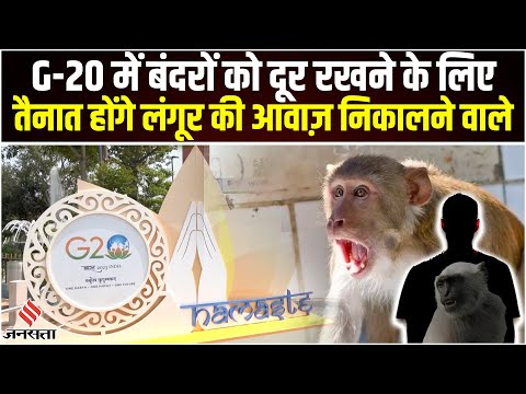 G-20 Summit के लिए तैयारियां जोरों शोरों पर, बंदरों से निजात पाने के लिए लिया गया अनोखा फैसला