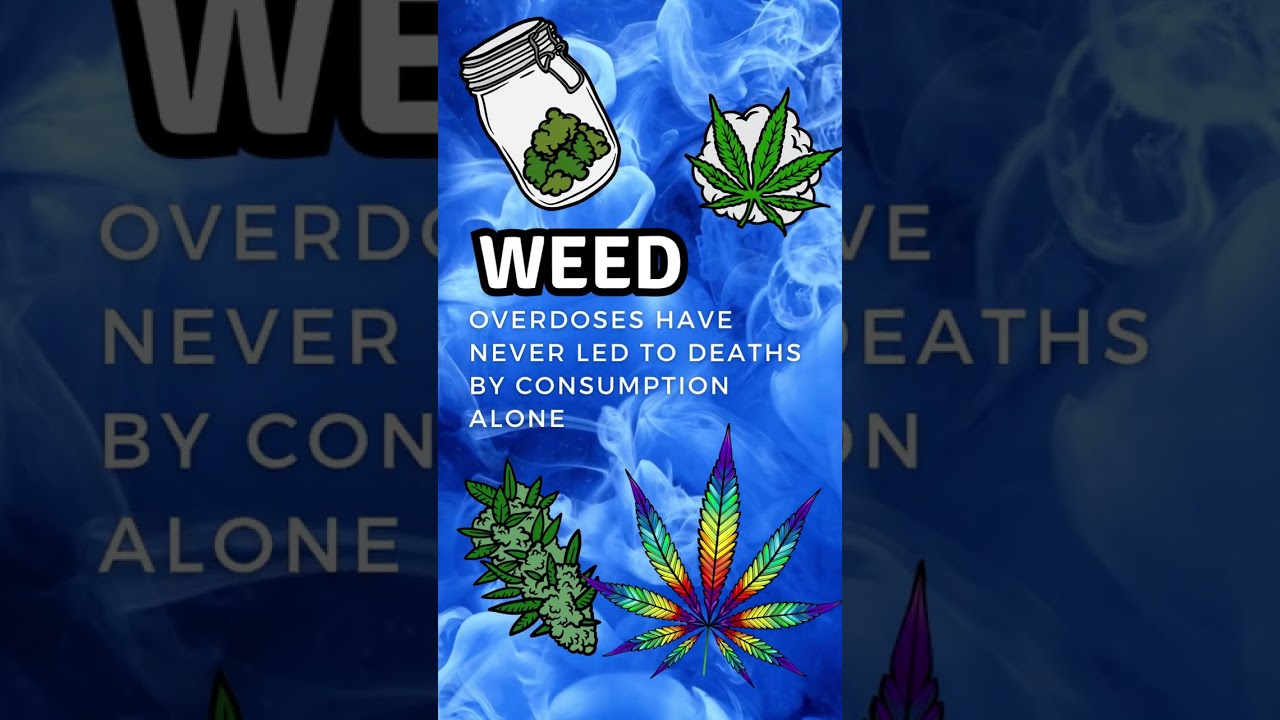 weed deaths 2023