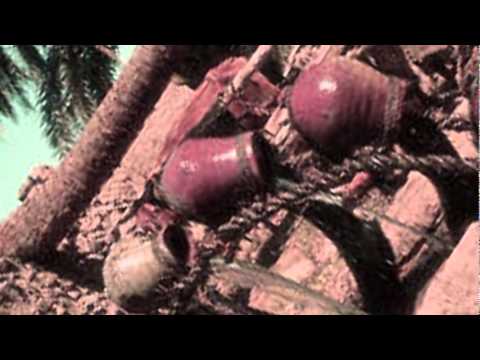 دعاء ع التوتة عبد الحليم حافظ 