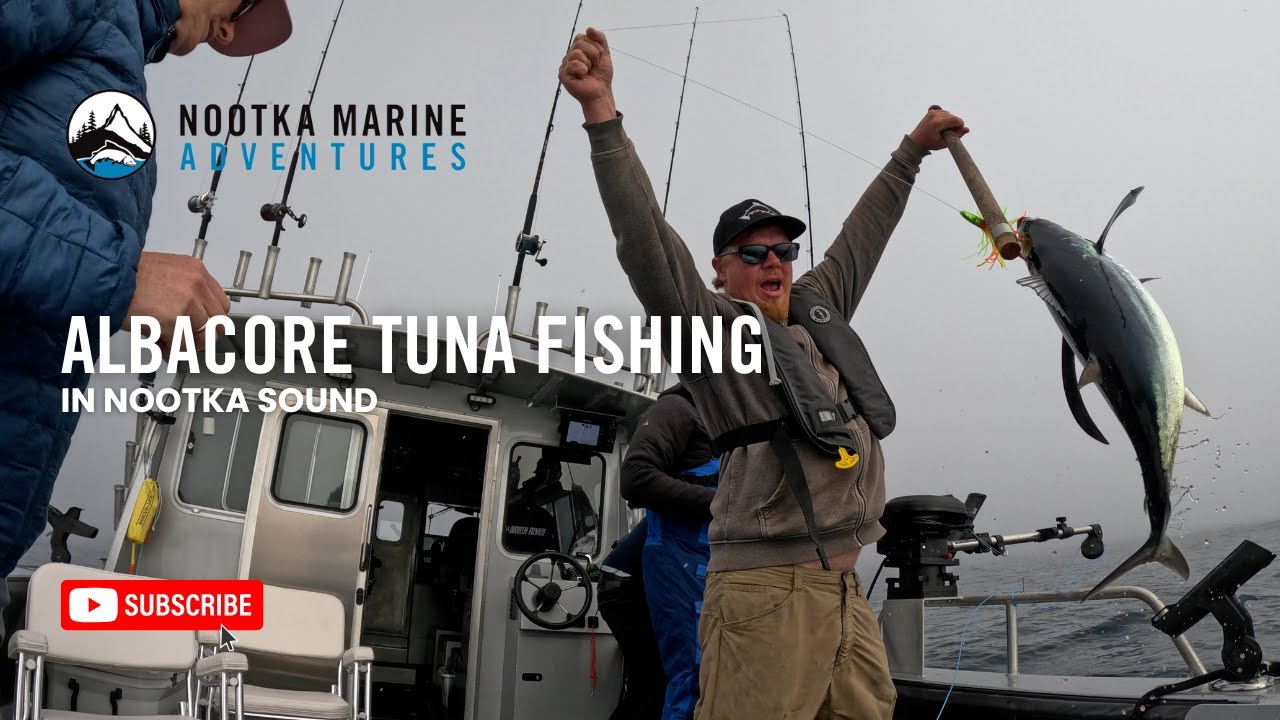 Albacore Tuna Fishing in Nootka Sound
