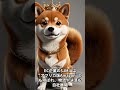 アフリカ株の隠れた宝石？$JMIAに込める名曲