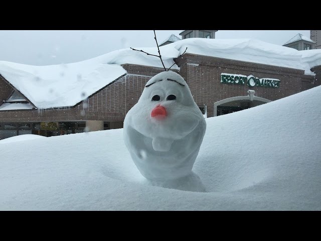 北海道の暴風雪でオラフが5時間で埋もれる Heavy blizzard hits
