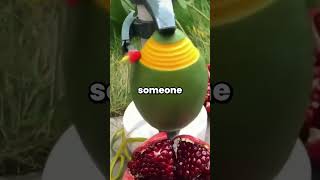 Every Night At 419 A.m. I Hear My Mom Humming In The Kitchen But Shes Been Buried For 11 Years