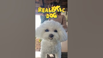 Meet the Realistic Robotic Dog! #dog #doglover #realisticdog