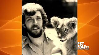 The Animal Guy celebrates 42 years of critter education
