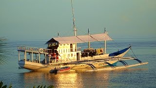 Easy Diving Visayas Safari Philippinen