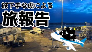 【雑談】9割食関連【薄墨りくご/Vtuber】