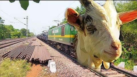 Fast & Furious Angry Goat Headed Freight Train Dangerous Moving Out At Railgate