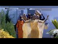 FAMILLE SÉNÉGALAISE Saison 2 BANDE ANNONCE Episode 74 FAMILLE SÉNÉGALAISE Saison 2 BANDE ANNONCE Episode 74