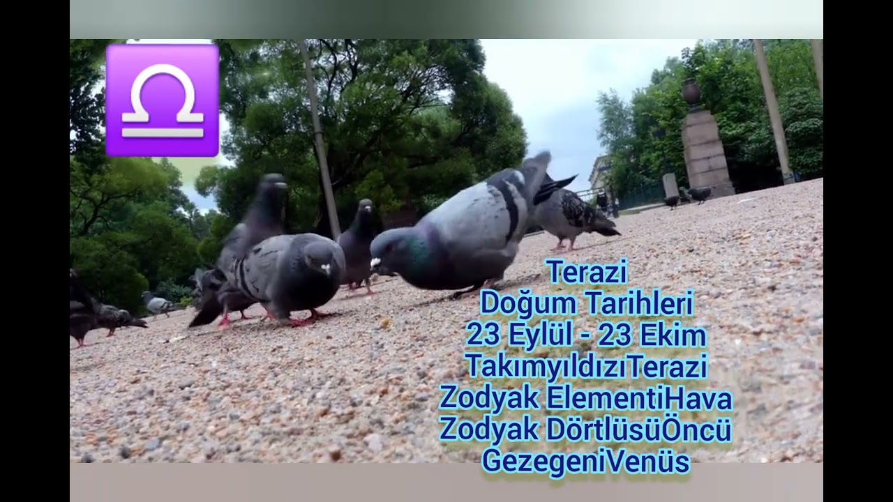 16 ŞUBAT HAFTASI TERAZİ VE YÜKSELEN TERAZİ #burçlar #astroloji 