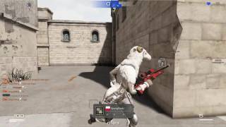S.K.I.L.L. - Special Force 2 | Sniper - one hand - Bug!