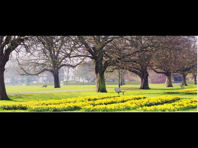 Video 1: Front of house