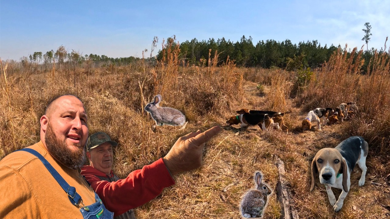 RABBIT Hunting Competition | (Extra) NEW Night HUNTING Toy