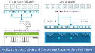 Analyze the VM's Objects and Components Placement in a Single Site vSAN Cluster