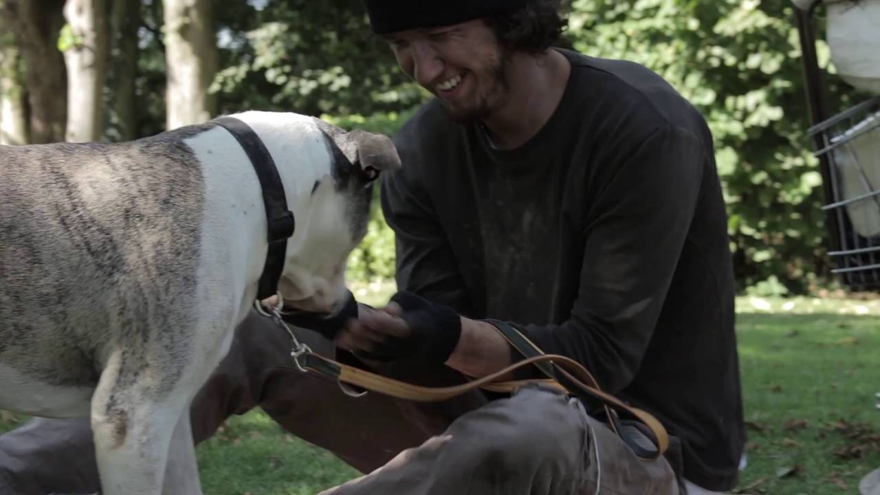 Show your good heart and fill empty dog stomachs - YouTube