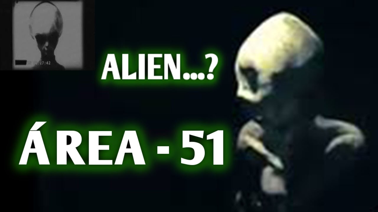 Resultado de imagen para Interrogatorio a Extraterrestre del Area 51- Análisis