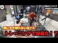 【初来店】トレーニング受けたら触れなくなった柴犬トリミング