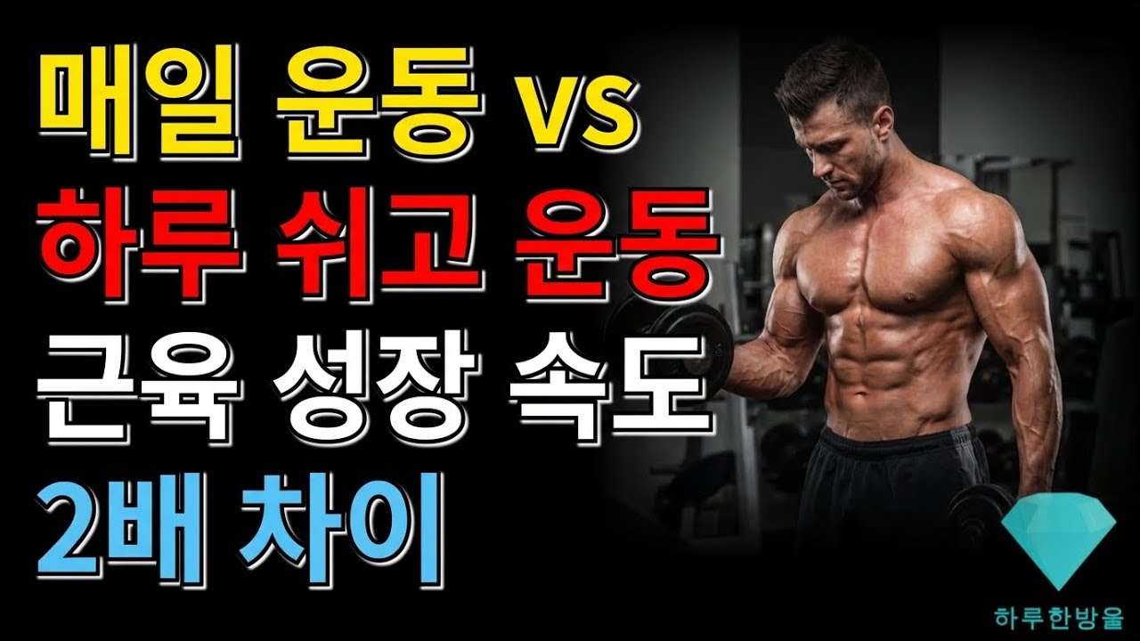 매일 운동 vs 하루 쉬고 운동, 근육 성장 속도 2배 차이