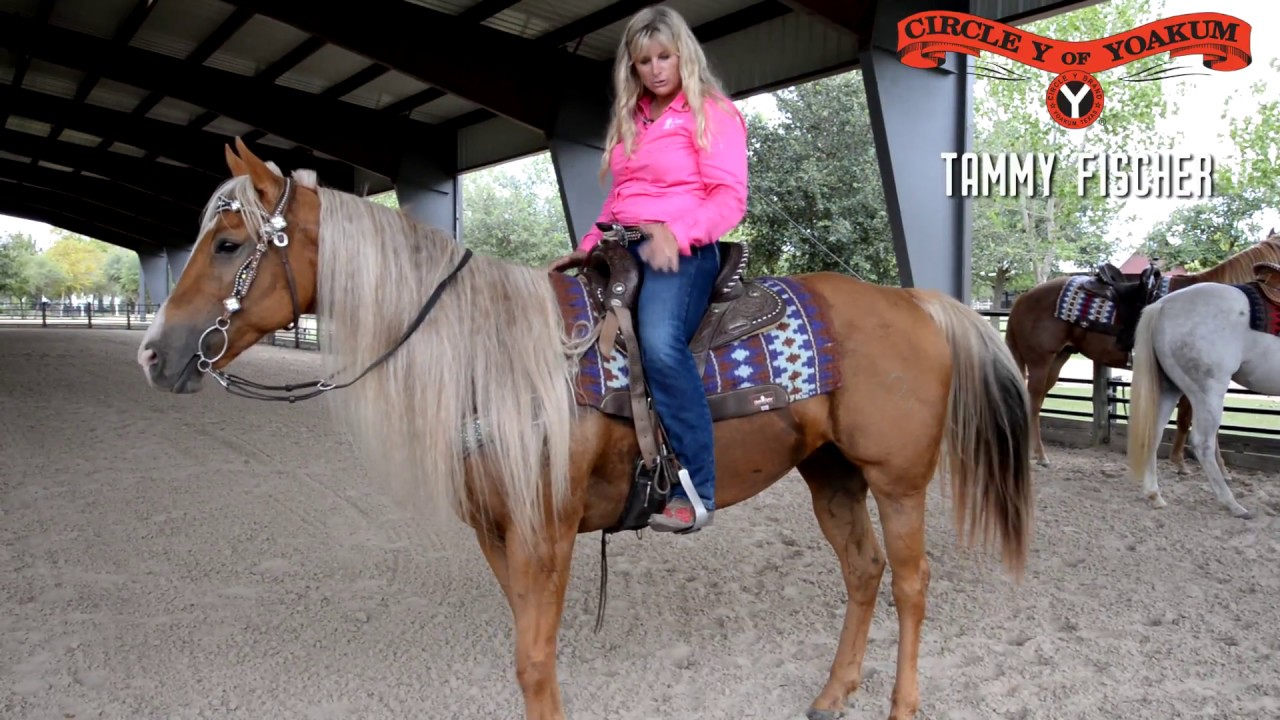 Tammy Fischer Discusses Ideal Fender Length on a Treeless Saddle