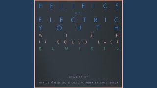 Wish It Could Last (with Electric Youth)