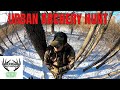 Michigan deer hunting  urban archery hunt 2022