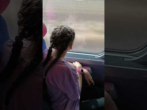 Каникулы #моиистории #мояжизнь #море #каникулы #путешествие #пляж #поезд #отдых
