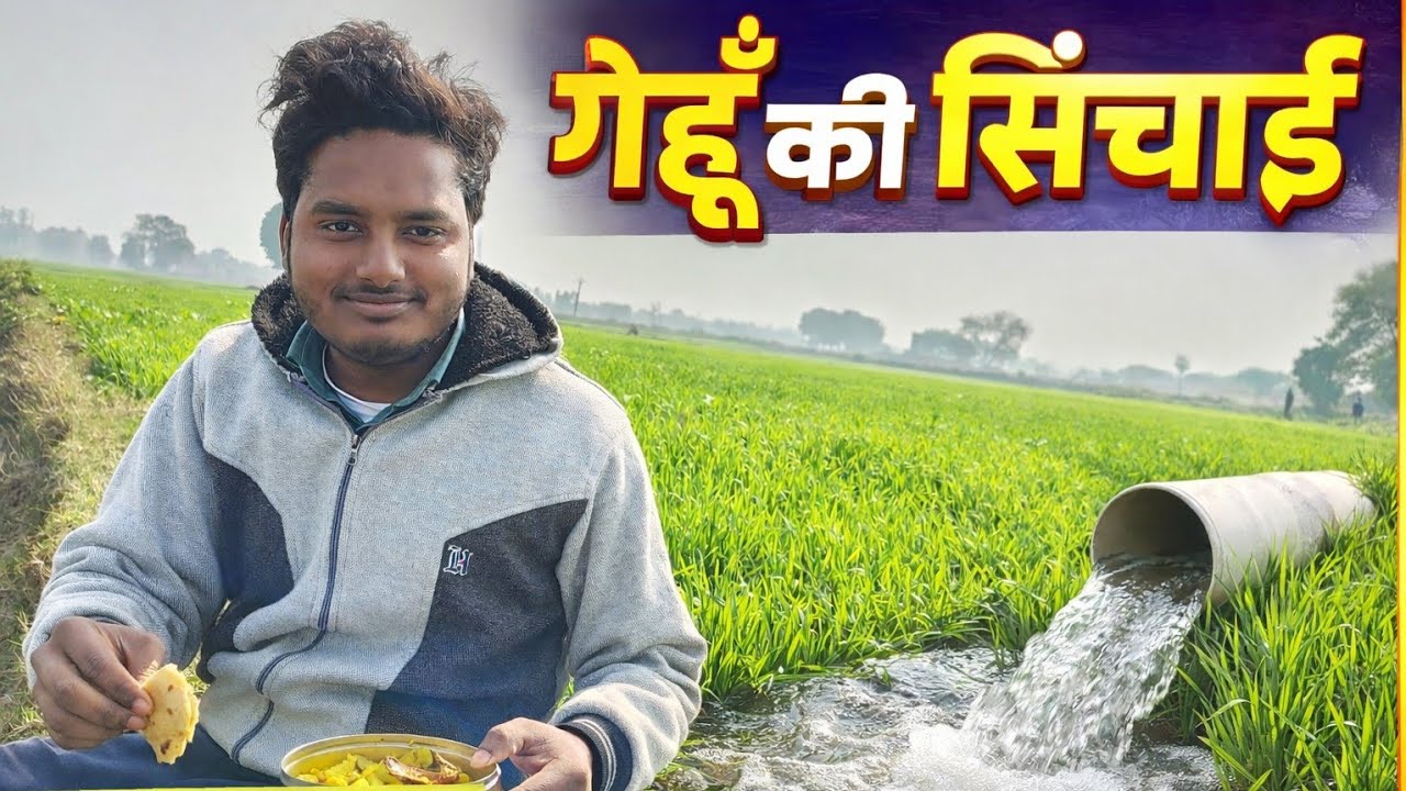 Finally gehu ki sinchai ho gya🌾