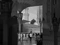 #viral #welovemuhammadﷺ #youtubevideo #inshallah