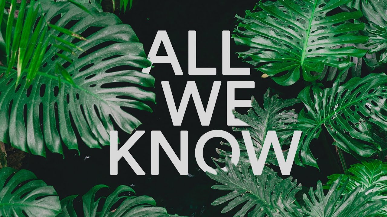 Watch Leonail & Svniivan  - All We Know (Lyrics Video) (Magic Free Release) on YouTube Watch Leonail & Svniivan  - All We Know (Lyrics Video) (Magic Free Release) on YouTube