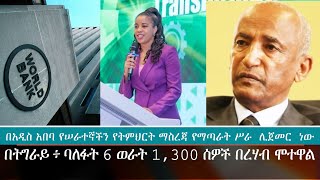 Ethiopian Media Services