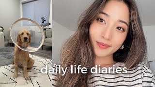 daily life diaries | ollie's neuter surgery recovery, date night, bleaching my hair