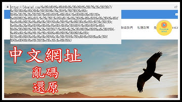 複製中文網址出現亂碼簡單解決方法
