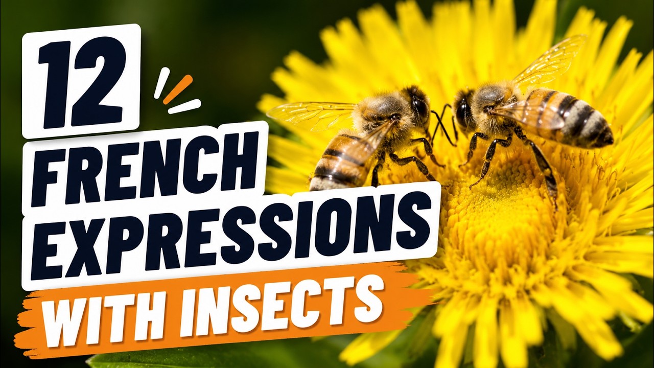 12 French Expressions with Insects - All levels - YouTube