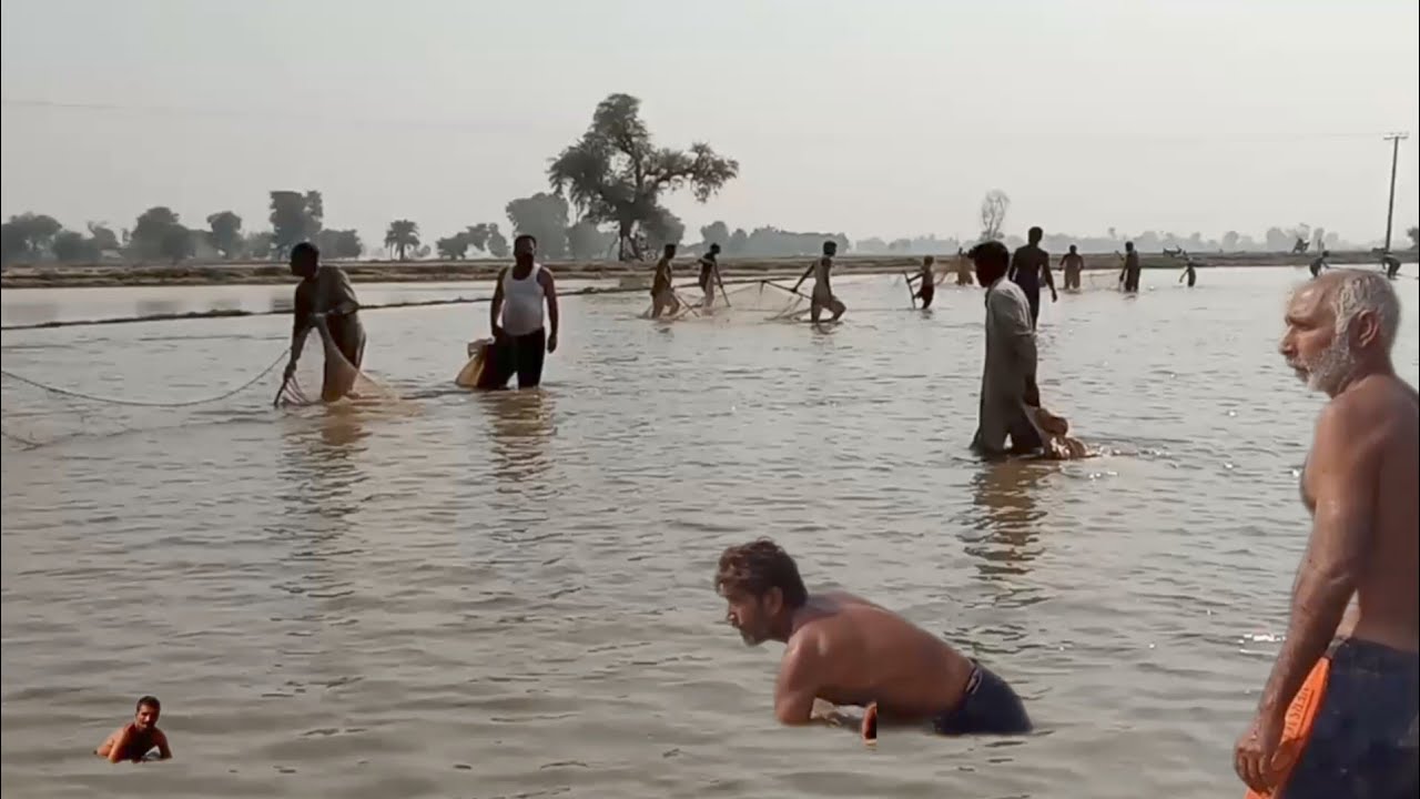 itni,bade_fish-#virl#virlvideo#pindu munda2 - YouTube