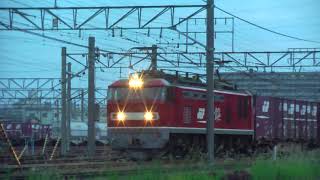 貨物EF510-16 米原操車場~名古屋タ4084レ