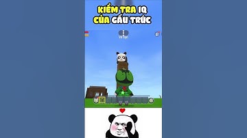 Kiểm tra gấu trúc có thông minh hay không trong Mini World ?