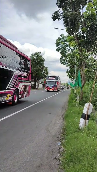 TELOLET MENGULAR ⁉️ TJ BLACK PINK DAN FATUM ARINA #short #shorts #youtubeshort #basuri  #teloletbus
