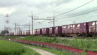 東北本線　3083レ　ＥＦ65-2040（青プレ）+コキ　ワシクリにて